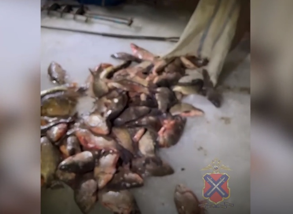 У браконьеров в Волгоградской области изъяли около 70 кг рыбы